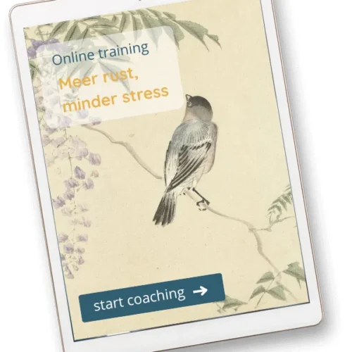 Online programma incl. één coachsessie