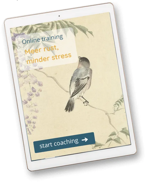 Online programma incl. één coachsessie